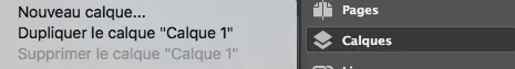 Duplique un calque sur InDesign