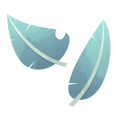 Projet claire senelonge naturopathe
